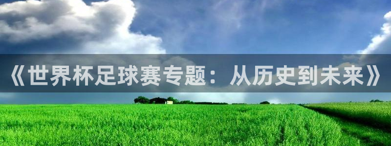 《世界杯足球赛专题：从历史到未来》