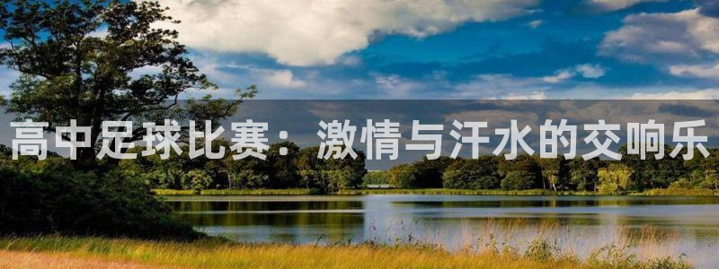 高中足球比赛：激情与汗水的交响乐