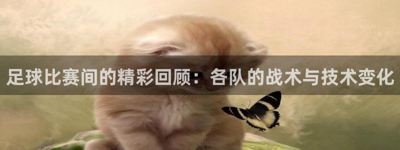 足球比赛间的精彩回顾：各队的战术与技