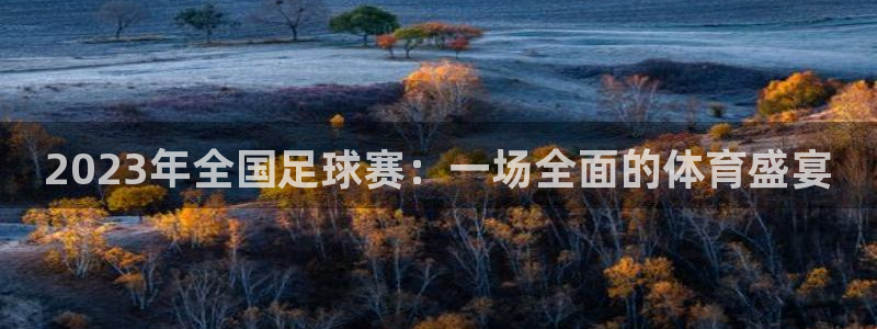 2023年全国足球赛：一场全面的体育