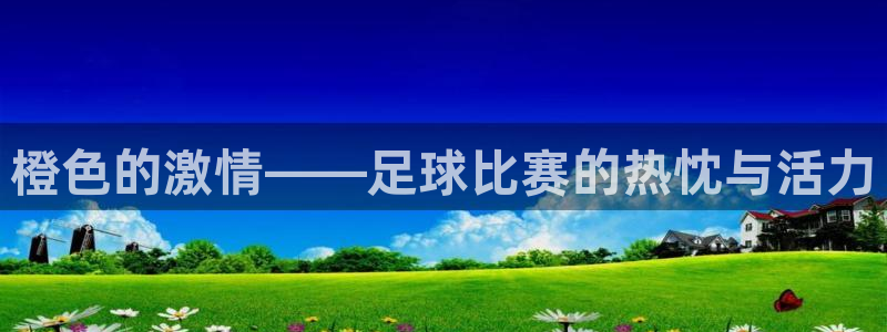  橙色的激情——足球比赛的热忱与活力