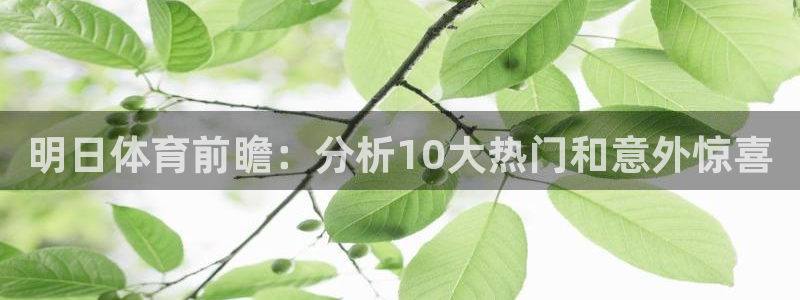  明日体育前瞻：分析10大热门和意外惊喜