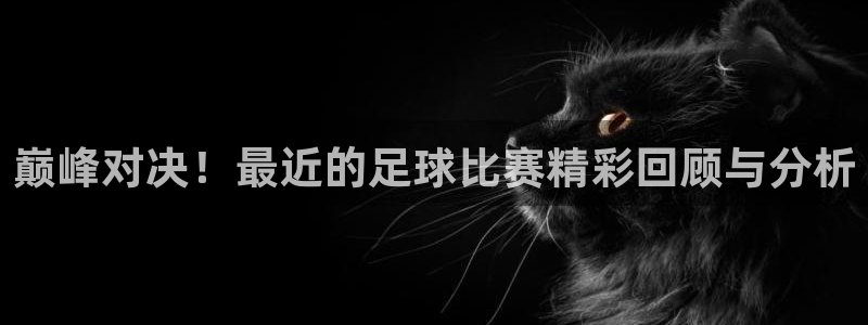 巅峰对决！最近的足球比赛精彩回顾与分析