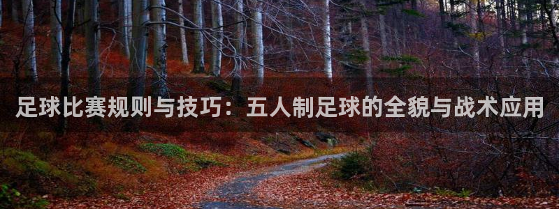  足球比赛规则与技巧：五人制足球的全貌与战术应用