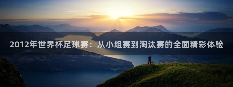  2012年世界杯足球赛：从小组赛到淘汰赛的全面精彩体验
