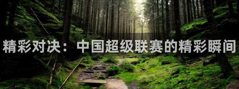精彩对决：中国超级联赛的精彩瞬间