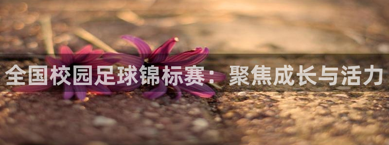 全国校园足球锦标赛：聚焦成长与活力