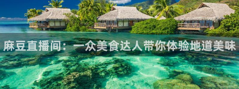 新球体育赛事：麻豆直播间：一众美食达人带你体验地道美味