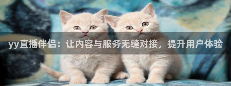 新球体育足球官网：yy直播伴侣：让内容与服务无缝对接，提升用户体验