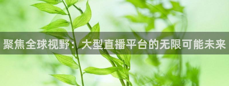 新球：聚焦全球视野：大型直播平台的无限可能未来