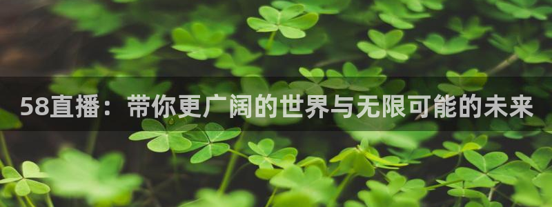 新球体育直播：58直播：带你更广阔的世界与无限可能的未来