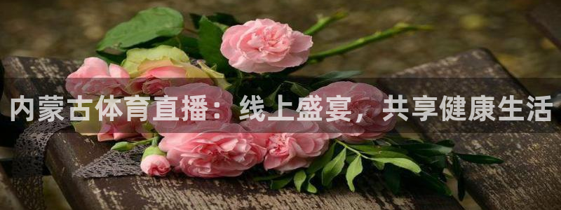 新球体育app：内蒙古体育直播：线上盛宴，共享健康生活