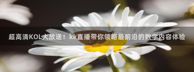 新球赛直播：超高清KOL大放送！kk直播带你领略最前沿的数字内容体验