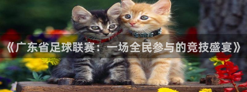 《广东省足球联赛：一场全民参与的竞技