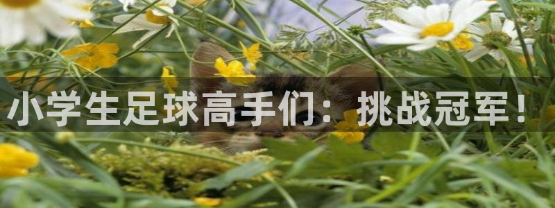 小学生足球高手们：挑战冠军！