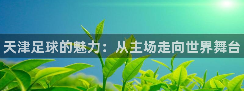 天津足球的魅力：从主场走向世界舞台