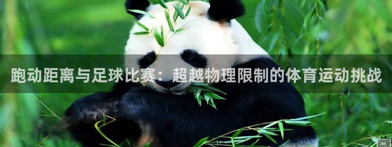 跑动距离与足球比赛：超越物理限制的体
