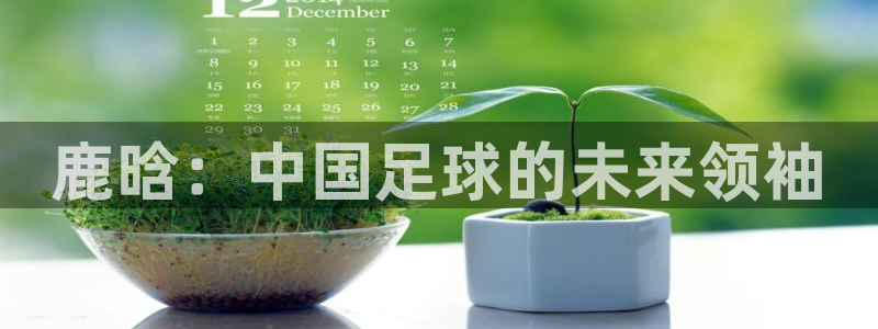 鹿晗：中国足球的未来领袖