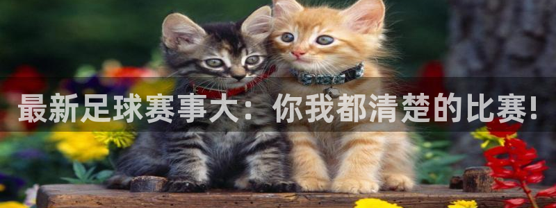 最新足球赛事大：你我都清楚的比赛!