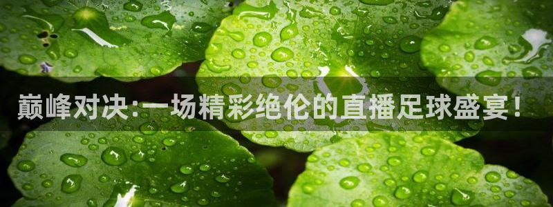 巅峰对决:一场精彩绝伦的直播足球盛宴
