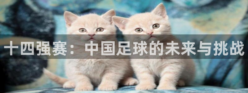 十四强赛：中国足球的未来与挑战