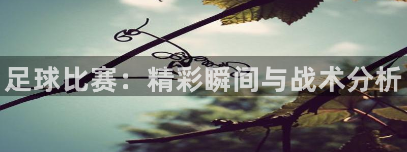 足球比赛：精彩瞬间与战术分析