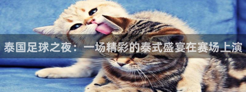 泰国足球之夜：一场精彩的泰式盛宴在赛