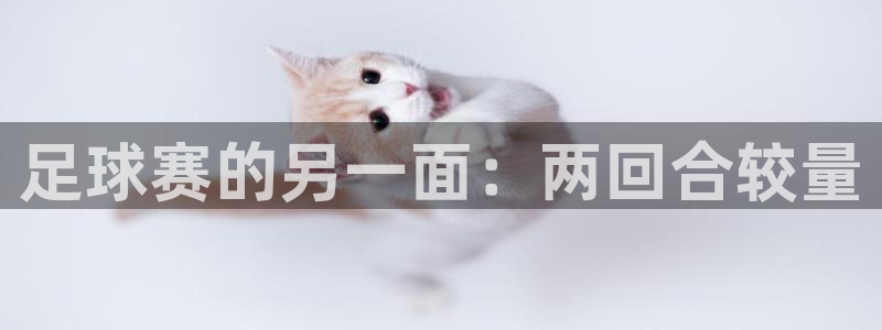 足球赛的另一面：两回合较量