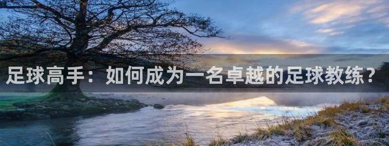 足球高手：如何成为一名卓越的足球教练