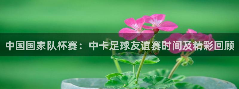 中国国家队杯赛：中卡足球友谊赛时间及