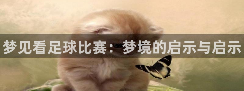 梦见看足球比赛：梦境的启示与启示