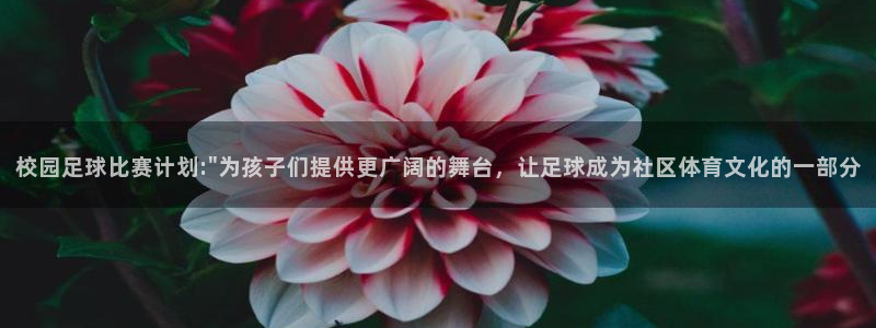 校园足球比赛计划:\