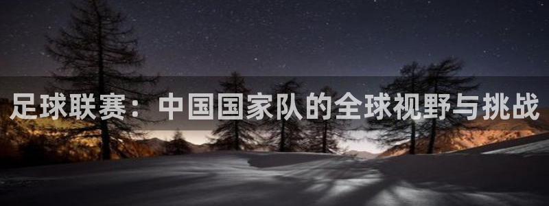 足球联赛：中国国家队的全球视野与挑战