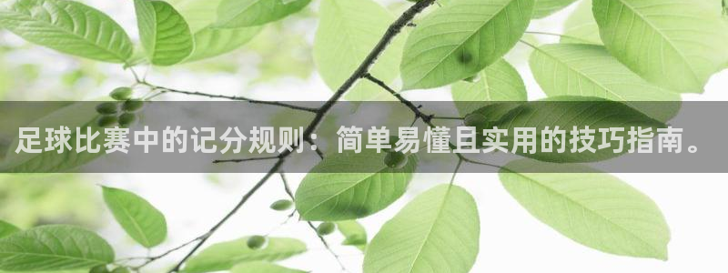 足球比赛中的记分规则：简单易懂且实用
