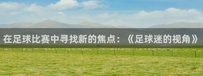 在足球比赛中寻找新的焦点：《足球迷的