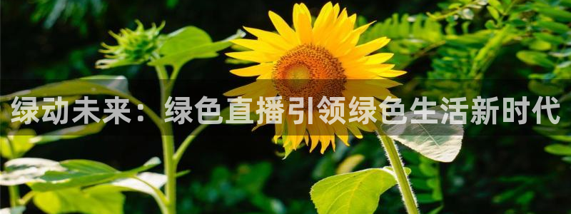 新球网直播：绿动未来：绿色直播引领绿色生活新时代