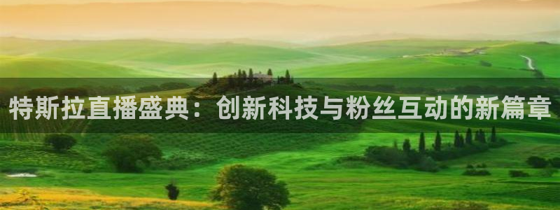 新球体育篮球比分：特斯拉直播盛典：创新科技与粉丝互动的新篇章