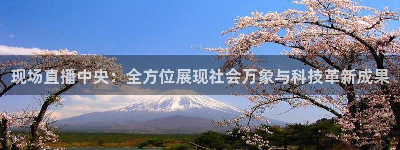 新球赛直播：现场直播中央：全方位展现社会万象与科技革新成果