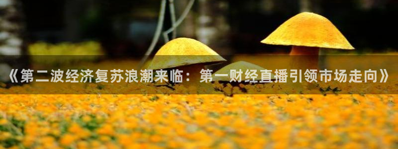 新球体育足球官网：《第二波经济复苏浪潮来临：第一财经直播引领市场走向》