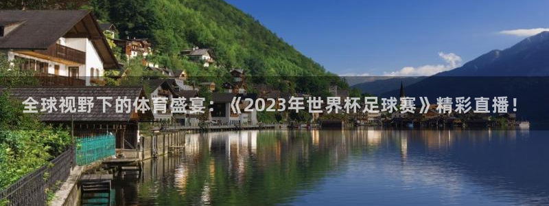 新球体育比分：全球视野下的体育盛宴：《2023年世界杯足球赛》精彩直播！
