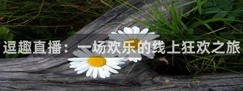 新球体育直播：逗趣直播：一场欢乐的线上狂欢之旅
