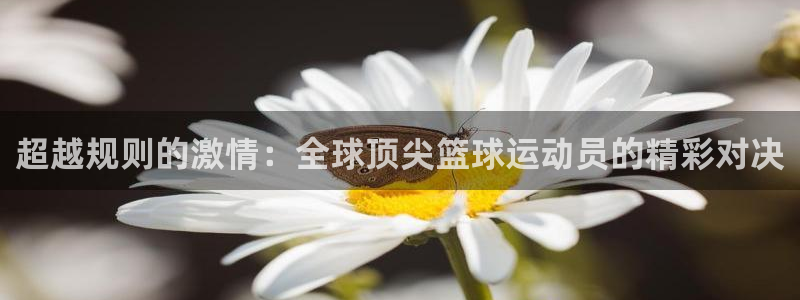 新球体育足球官网：超越规则的激情：全球顶尖篮球运动员的精彩对决