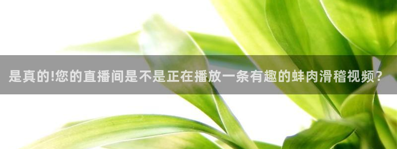 新体球即时比分新球体育：是真的!您的直播间是不是正在播放一条有趣的蚌肉滑稽视频？