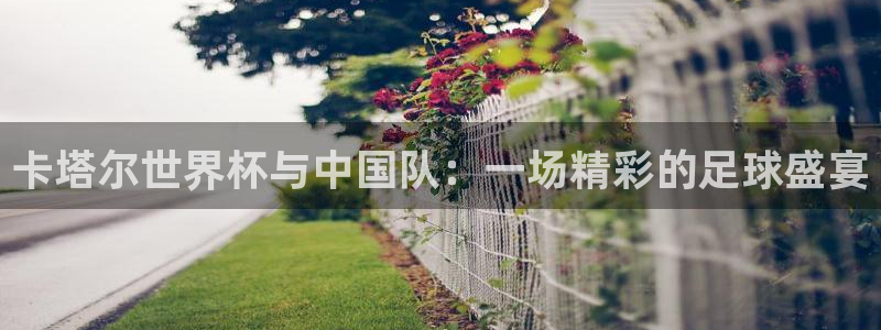 新球体育足球即时比分：卡塔尔世界杯与中国队：一场精彩的足球盛宴