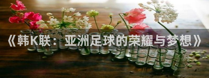 新球体育网球比分：《韩K联：亚洲足球的荣耀与梦想》